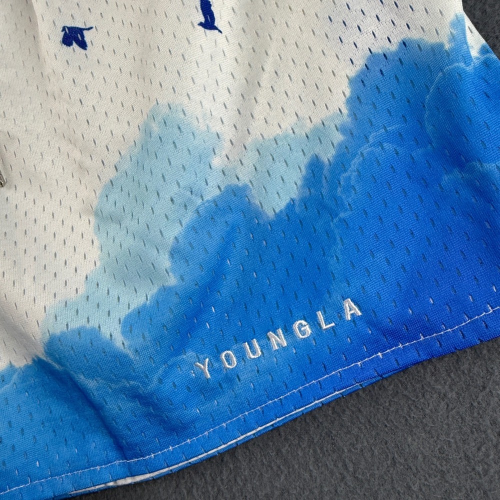 YoungLA Shorts Men's L Blue Cloud Bird Mesh Gym Athletic Fitness AOP Sky 4" - Picture 3 of 9